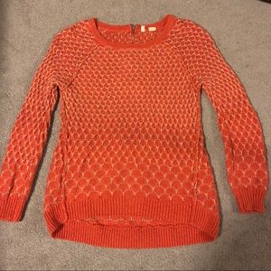 Moth knit crew neck sweater